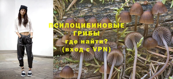 винт Инсар