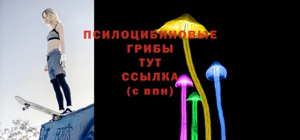 МДПВ Зеленодольск