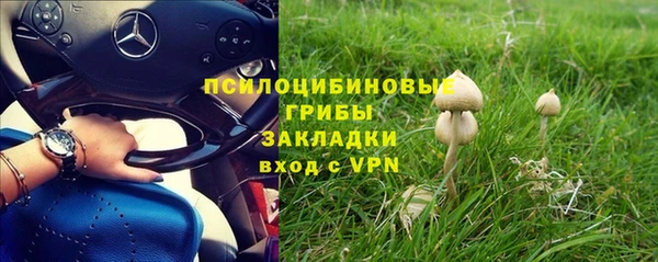 мяу мяу кристалл Инта