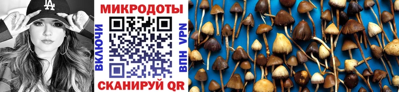 Купить закладки  Красновишерск  Псилоцибиновые грибы Psilocybine cubensis 